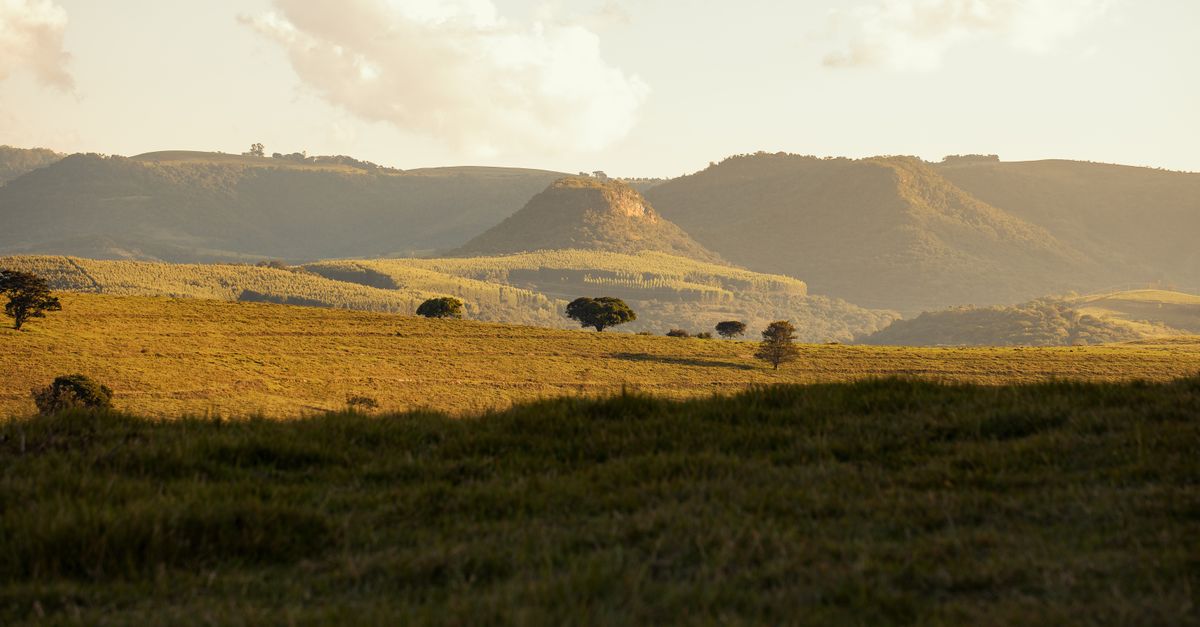 Rolling hills bathed in golden evening light, evoking the Spanish countryside where Sophie now lives.