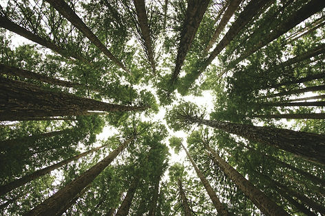 Australian expat couple reviewing SMSF retirement planning with an adviser