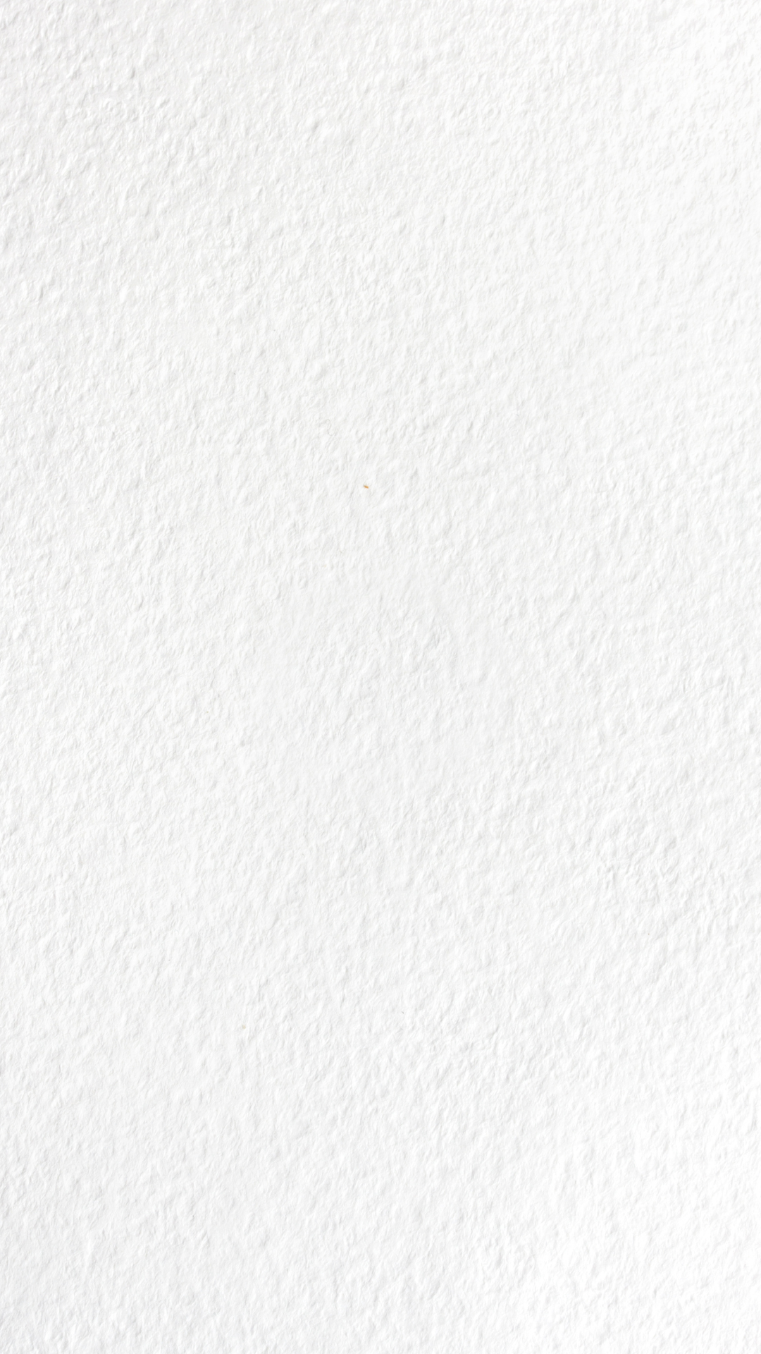 Noviembre 26 (10).png