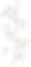 Noviembre 26 (31)_edited.png