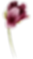 Noviembre 26 (17).png
