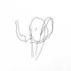 IMG_2002.jpeg