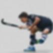 Hockey Stick TGI