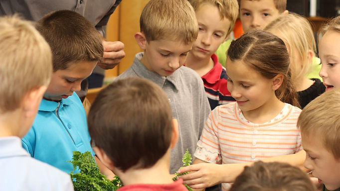 When the Students Become Teachers