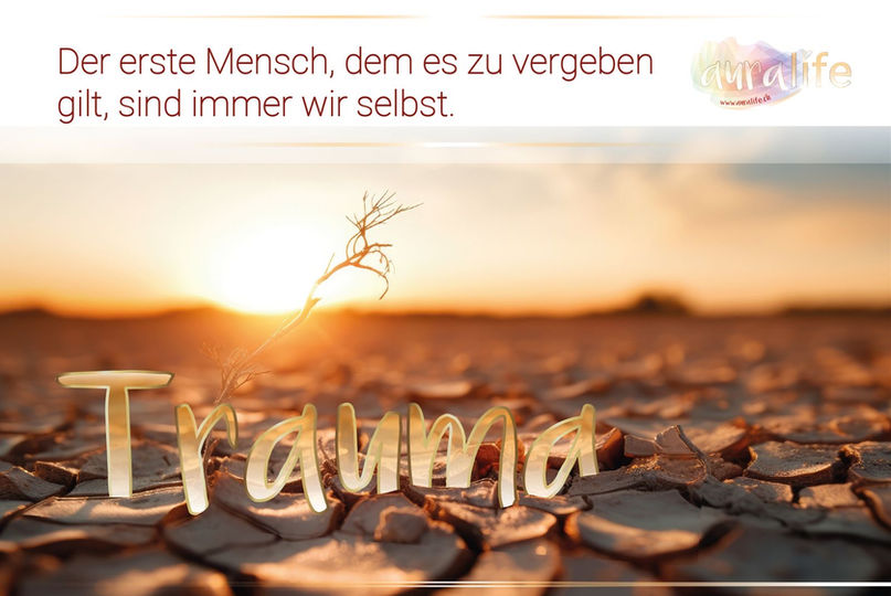 Im auralife Wirkshop halten wir gemeinsam diesen Raum.
Für Schmerz, der gesehen werden darf.
Für Verletzungen, die sich lösen dürfen.
Und für Vertrauen, das wieder wachsen kann. #auralife #traumaheilung #selbstvergebung #resilienz #achtsamkeit #innerekraft