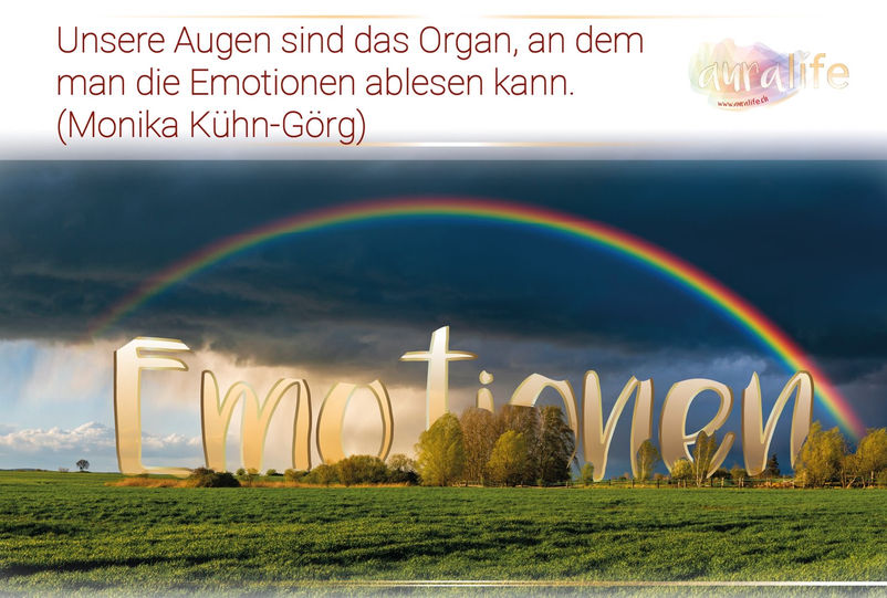 Im auralife Wirkshop lernst Du, Deine Emotionen zu spüren, anzunehmen und zu transformieren.
Sicher. Ehrlich. Tief.
Du musst nicht stark sein – nur bereit. #auralife #emotionen #transformieren #herzarbeit #neuanfang #workshop
