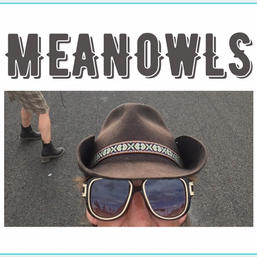 MeanOwls