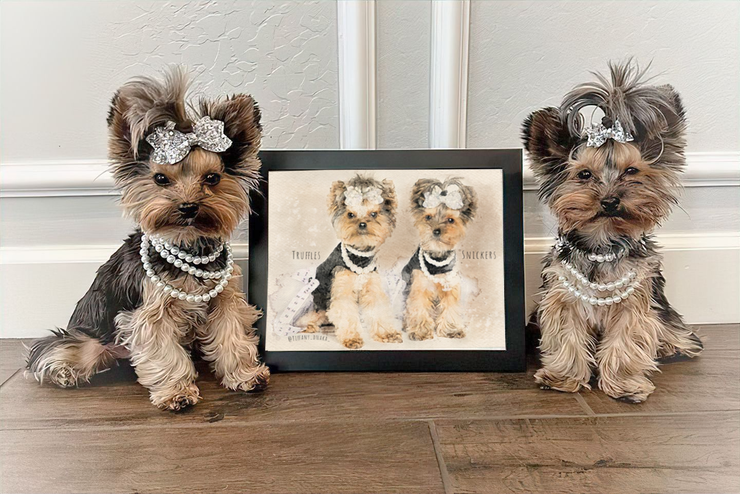 Two Yorkies with bows and pearls next to framed portrait. 18x24in Custom Watercolor Pet Portrait
