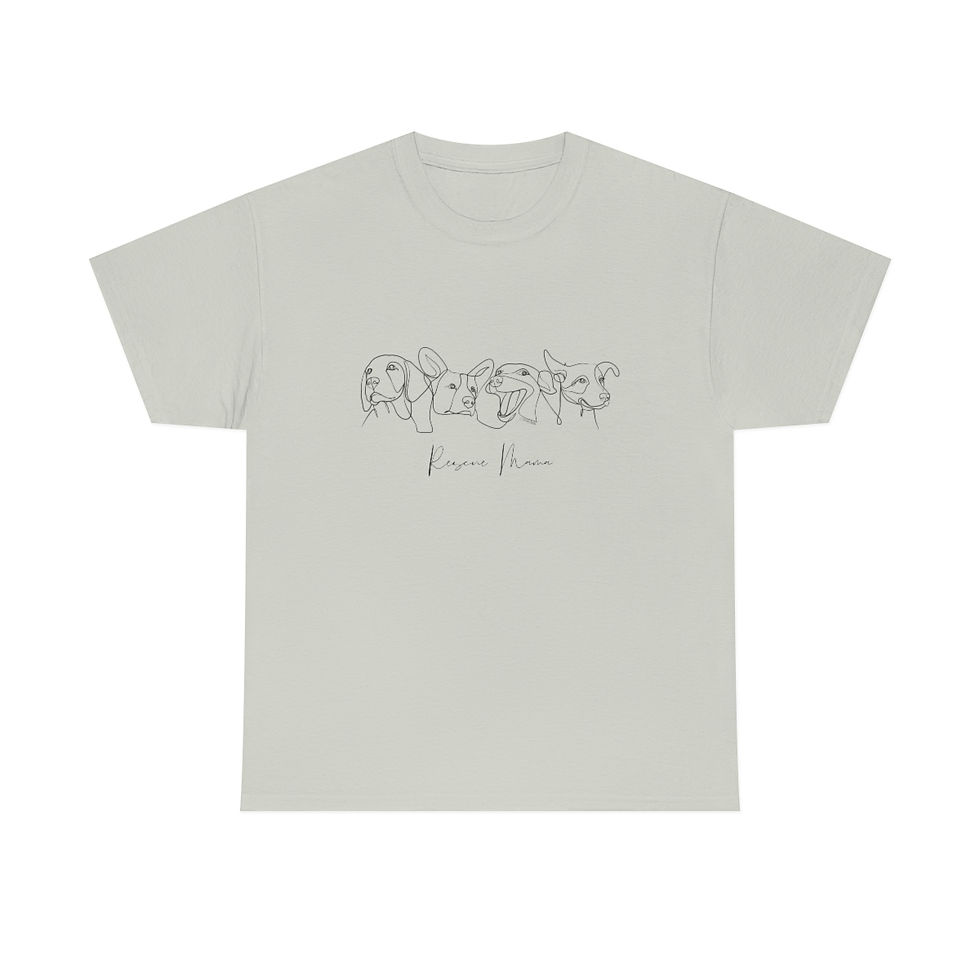 Thumbnail: Light grey t-shirt featuring a line drawing of flowers, with the text 'Bloom' printed.