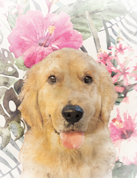 Thumbnail: Golden retriever with pink flower and tropical background, 18x24in Custom Watercolor Pet Portrait