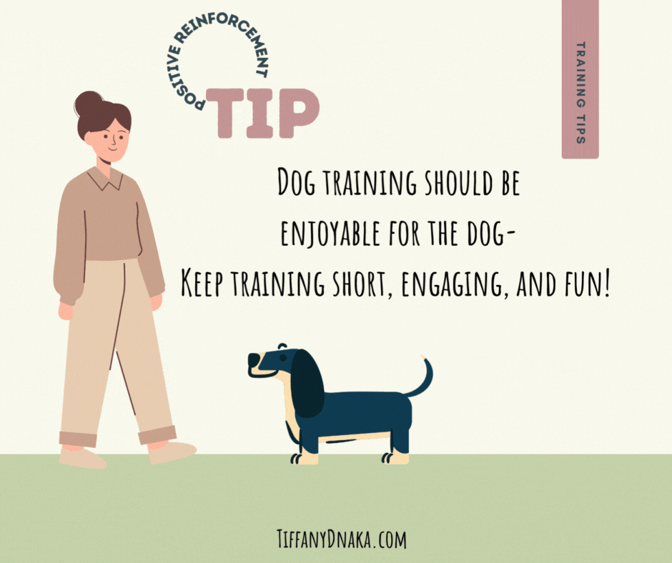 Unlocking the Power of Positive Reinforcement: The Crucial Element in Training a Dog's Brain