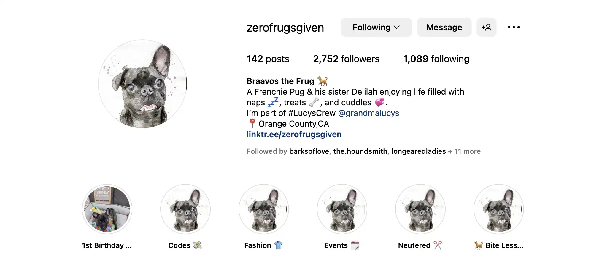 Braavos the Frug Instagram with a custom watercolor pet portrait profile image