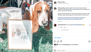 Basset hound dog with custom watercolor artwork 