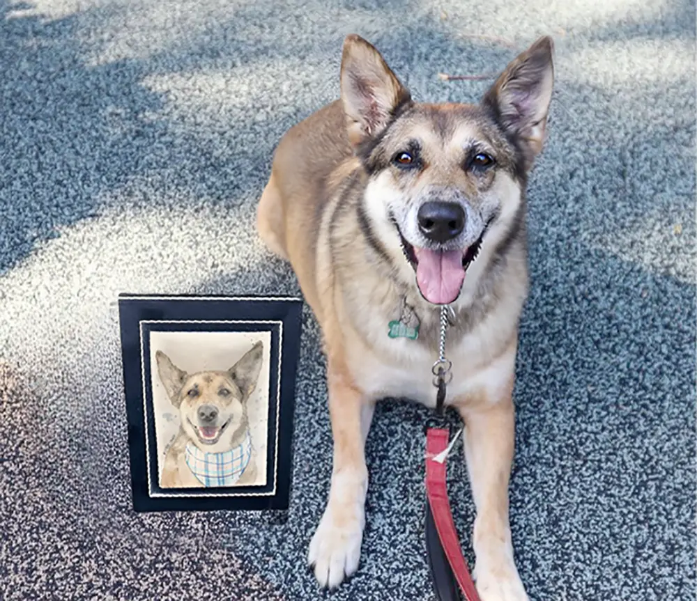 dog with custom watercolor portrait