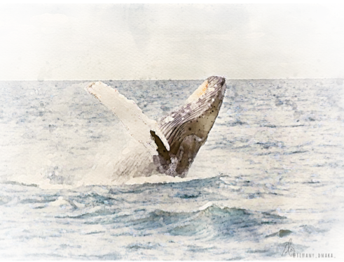 Thumbnail: Whale breaching water in an artistic watercolor. Ocean and sky backdrop.