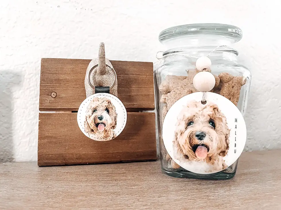 Thumbnail: Dog tags with a dog image beside treats jar, dog name visible.