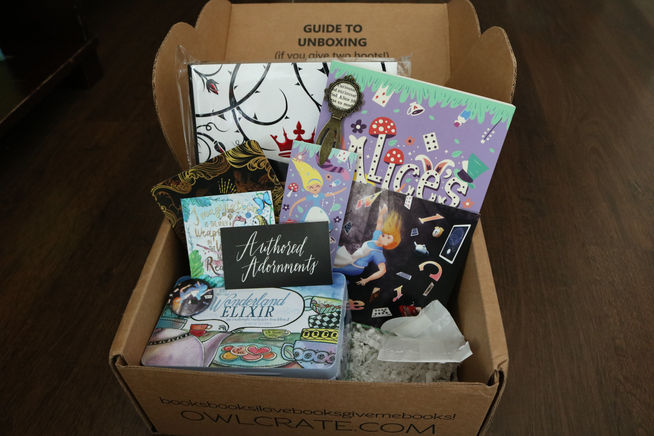 FOOD FESTIVAL, OWLCRATE UNBOXING, VEGAN BROWNIES!!!!