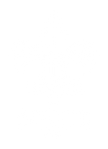 Morrisonville Troop 74