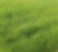 result_1583102826453.jpg