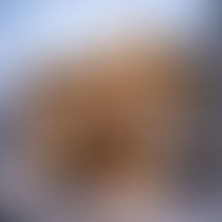 Herkese yeni yılda mutluluk, sağlık, huzur ve başarılar diliyoruz. 2026’da yeni buluşmalarda görüşmek dileğiyle.