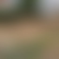 Cumhuriyet Mahallesinde Lahit Bulundu