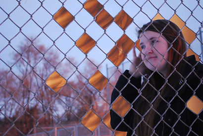 Fence photo (1).jpg