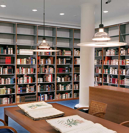 tall_library_shelving.jpg