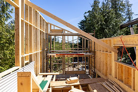 Saltwater - 302 Reef - Progress Shoot #1 (full size) (9 of 13).jpg