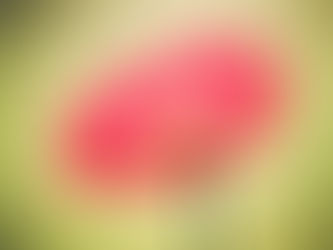 ברכה קופצ'יק: פסיכולוגית קלינית בכירה בכפר סבא והשרון.