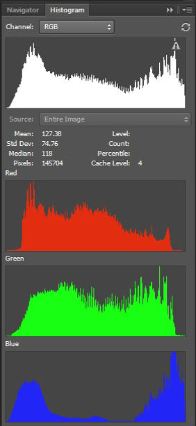Perfect exposure histogram.jpg