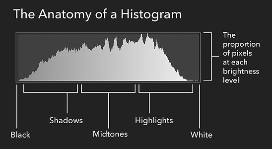 The-anatomy-of-a-histogram.jpg