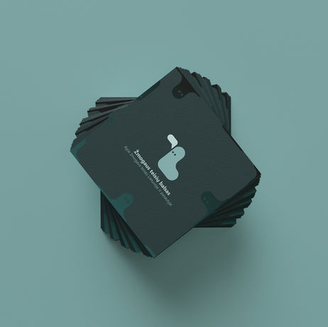 "Human Rights Voice Lithuania" | Logo Design & Brand Identity