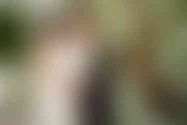 ricevimento battesimo