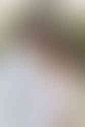 foto del prematrimoniale