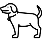 Approche-respectueuse-de-l’animal_edited