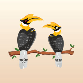 Great hornbill pair
