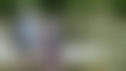 Punjab Floods: Natural Disaster or Man-Made Crime?