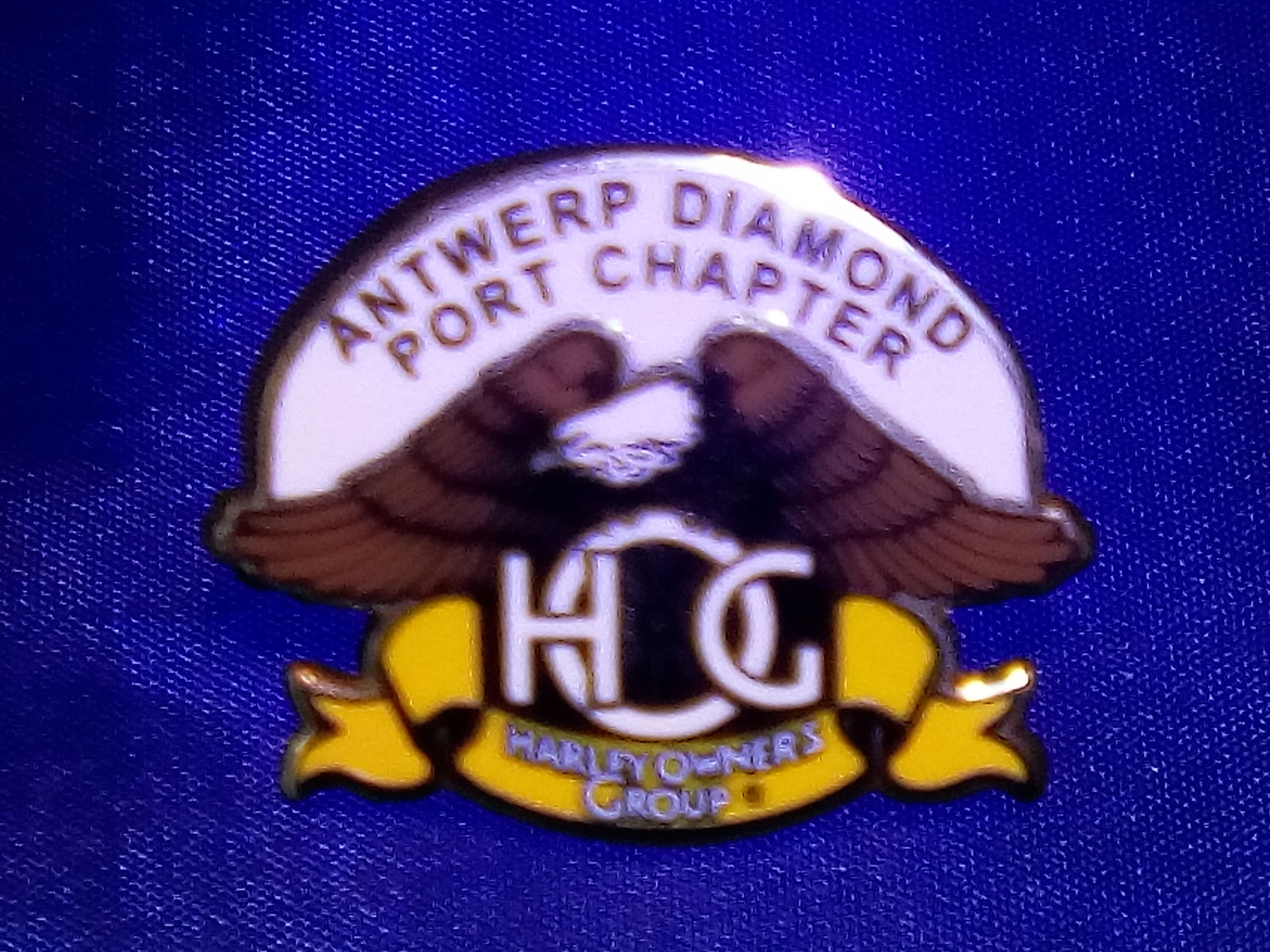 ADPC CHAPTER PIN