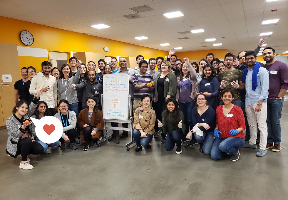 Volunteer at Food Bank