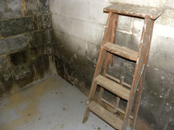 Interior Remediation