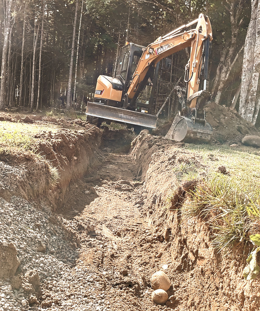earthworks coley cove lamoine17_edited.jpg