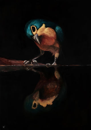 Narciso
