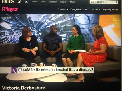 News Interview Panel