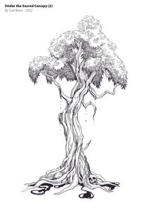 Under the Sacred Canopy 2.jpg