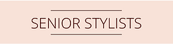 Copy of Copy of Copy of Grey Simple Linear for Photography Logo  (1).png