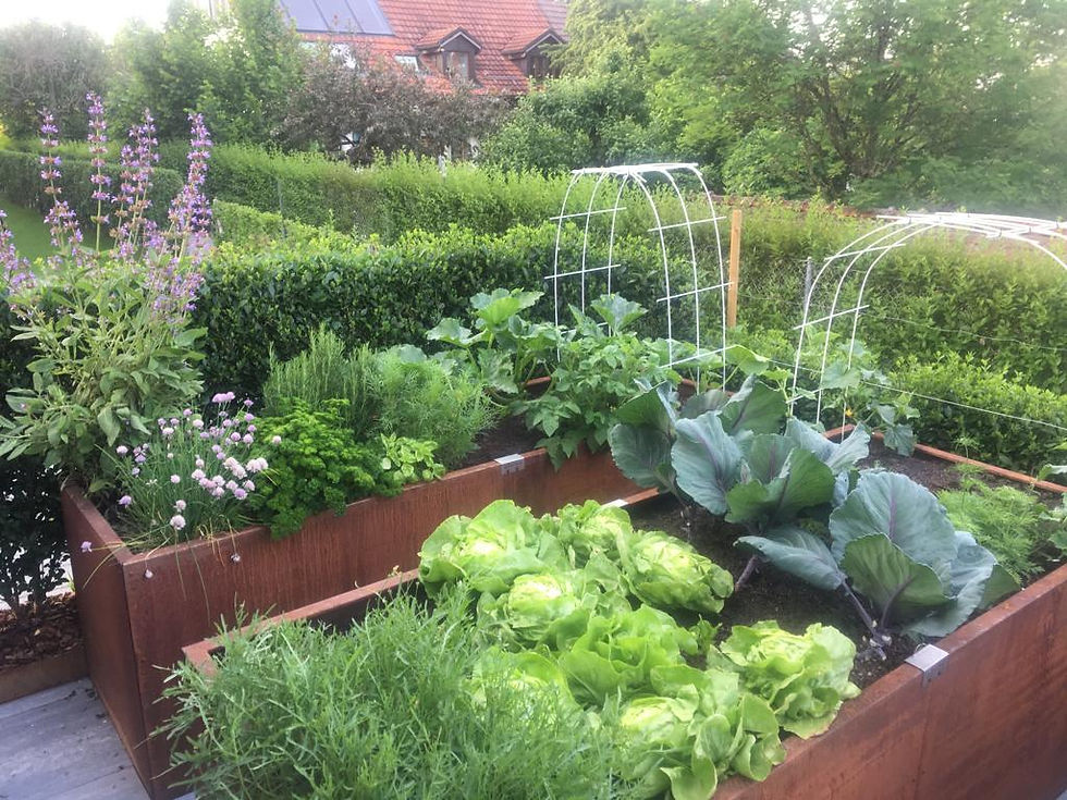 IMG-20200831-WA0026[1]