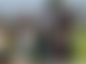 3月のニュースレター