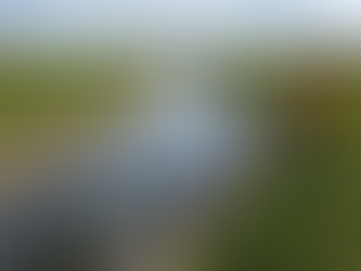 Flood Mitigation Strategies for Eastern NC and Southern TX