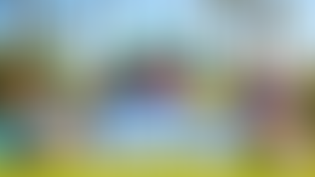 Bounce House & Party Supply Rentals Orange County | Gold Star Jumpers