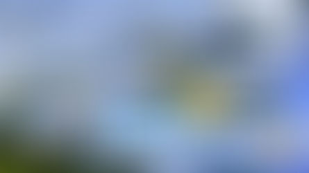 OC Tent & Heater Rentals for Birthday Parties & Special Events by Gold Star Jumpers in Orange County California